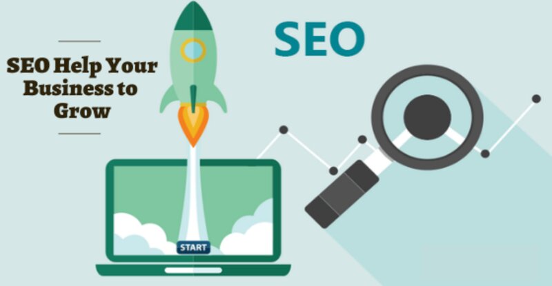 How Does SEO Help Your Business Grow How Does SEO Help Your Business Grow - Digital Catalyst