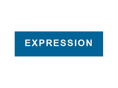 Expression-Digital Catalyst Client